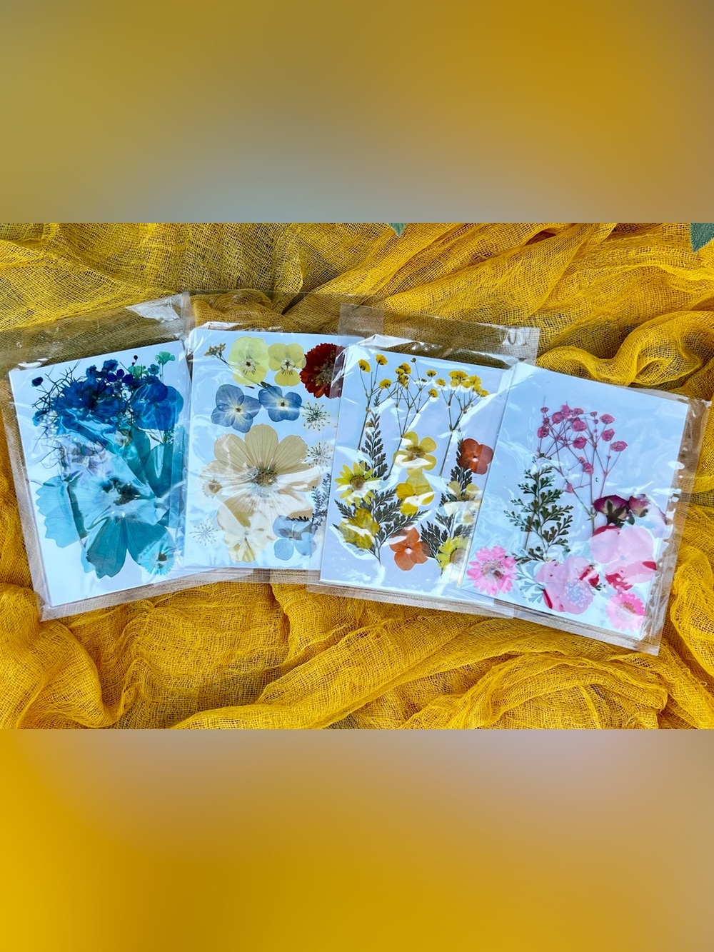 Pressed Dried Flowers for Crafting - Assorted Colors